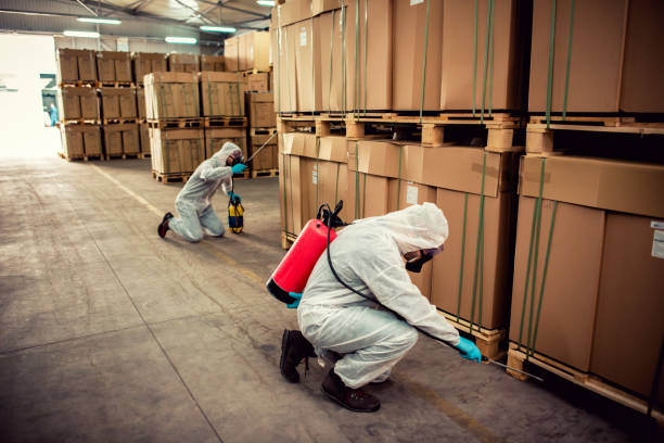 Best Best Pest Control Companies  in East Pasadena, CA