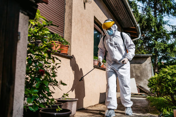 Pest Control for Restaurants in East Pasadena, CA