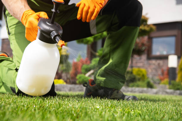 East Pasadena, CA Pest Control Company