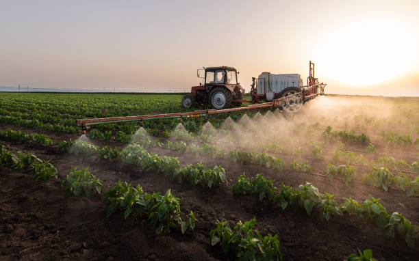 Best Mosquito Control Services  in East Pasadena, CA