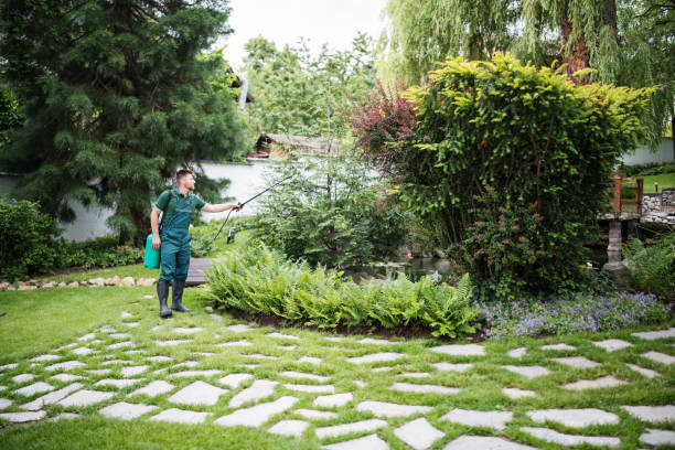 Best Emergency Pest Control  in East Pasadena, CA