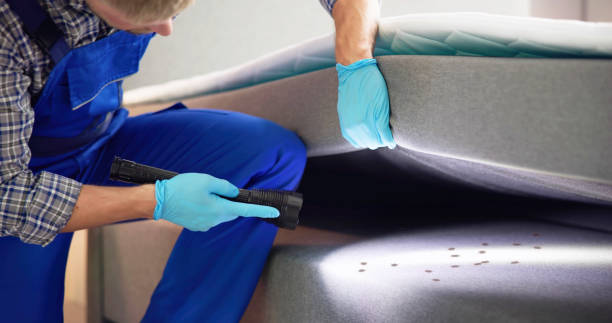 Best Cockroach Control Services  in East Pasadena, CA