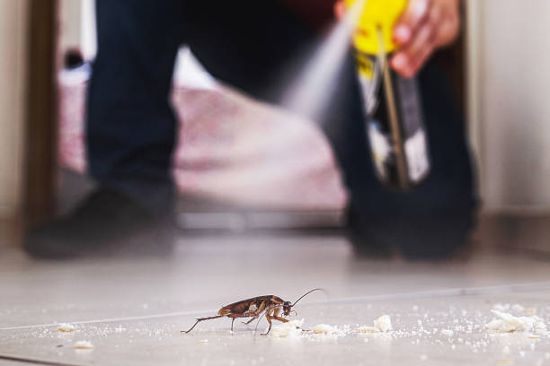 Best Rat Extermination Near Me  in East Pasadena, CA